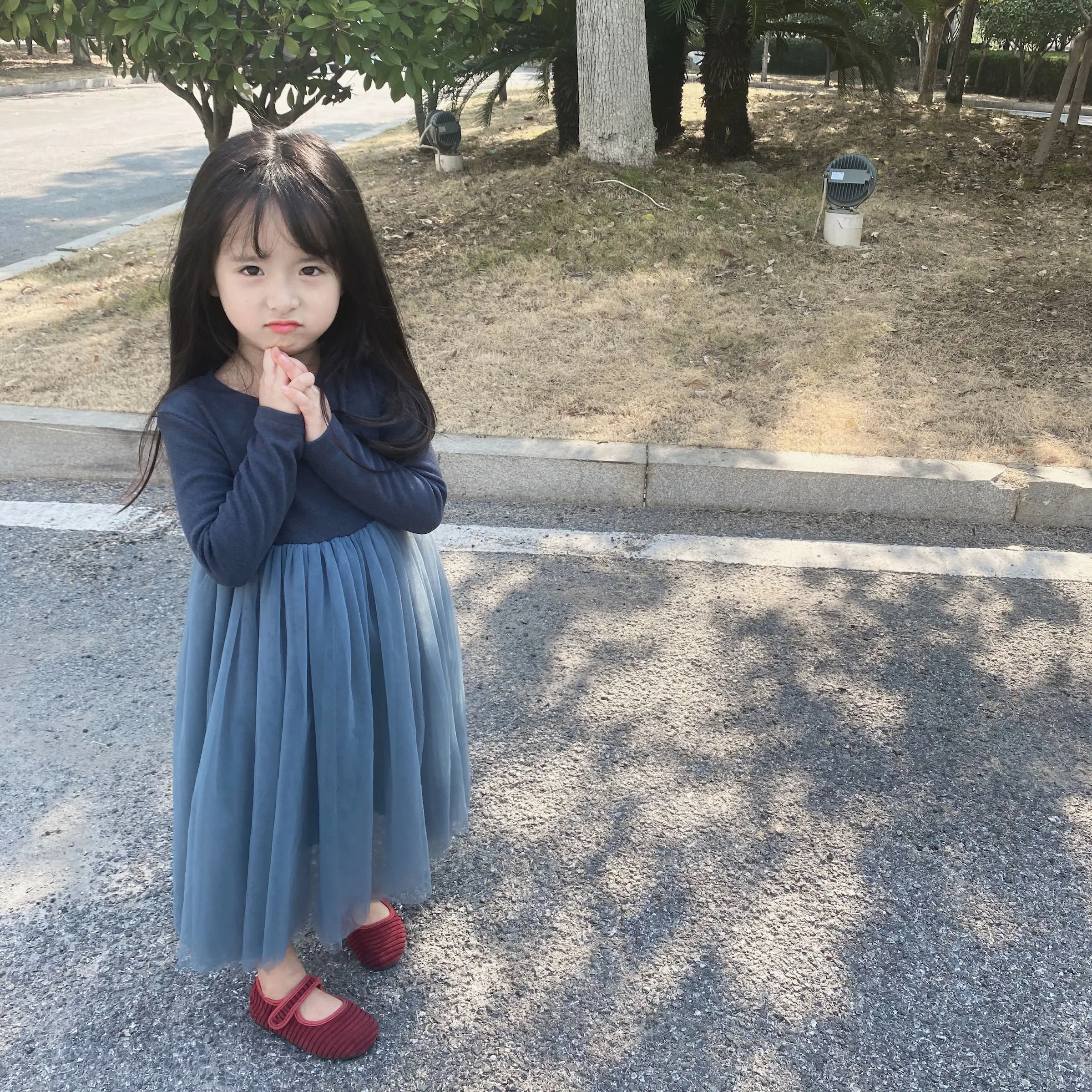 2025 Autumn Girls' Australian Fleece Long Sleeve Puffy Tulle Princess Dress Soft Skin-Friendly Kids Clothing for 4-12 Years Old - Image 2